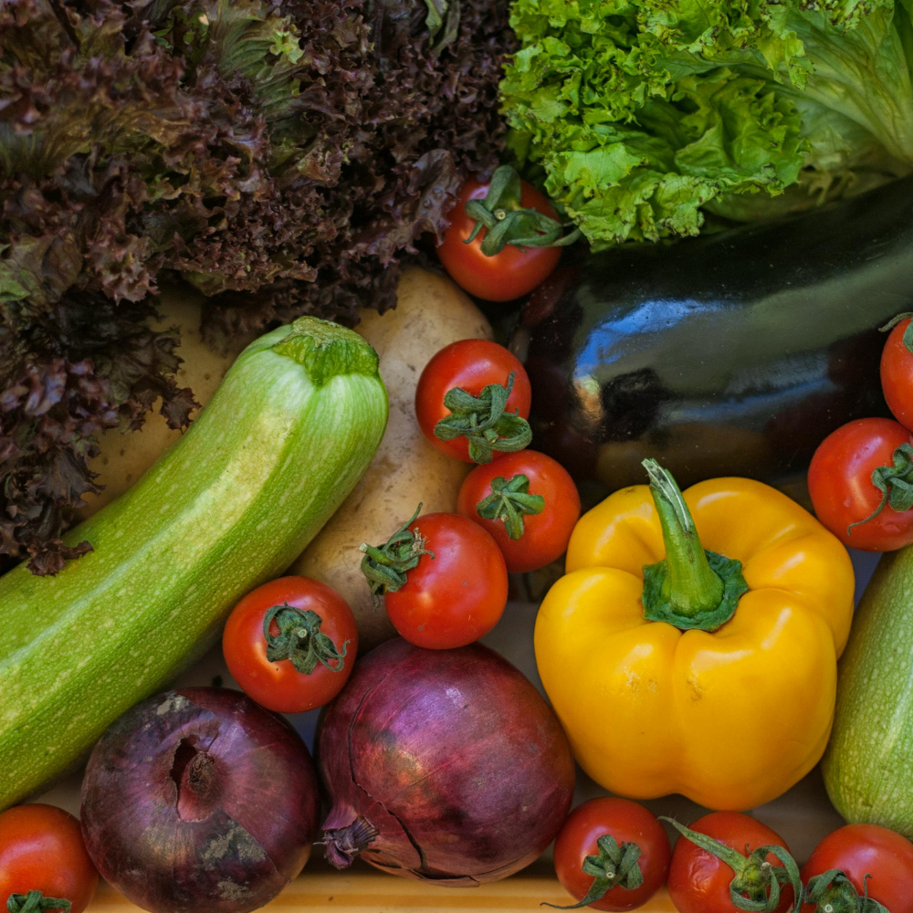 Verduras y vegetales