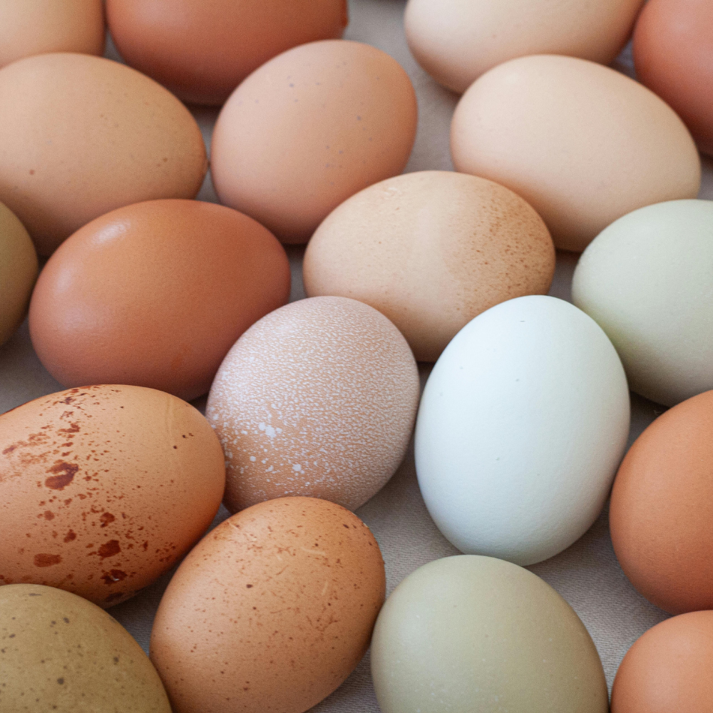 Huevos